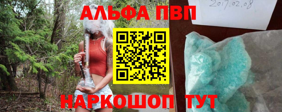 Alfa_PVP СК Новороссийск