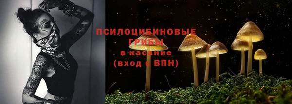 шишки Лагань
