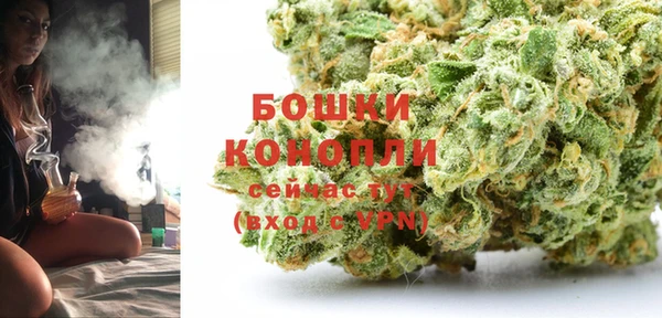 стафф Ладушкин