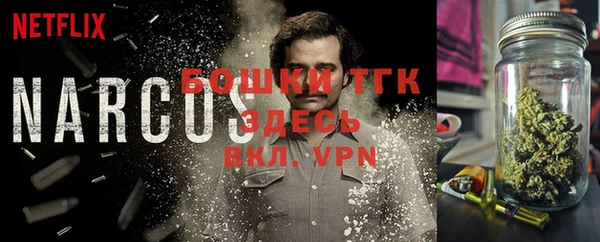 стафф Ладушкин