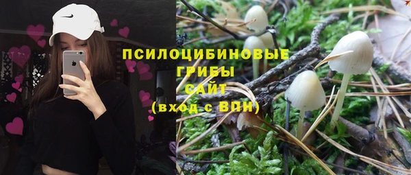 стафф Ладушкин
