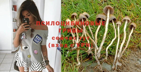 стафф Ладушкин