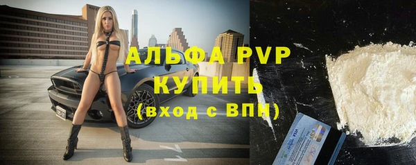 шишки Лагань