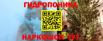 мдпв Аргун