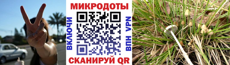 Галлюциногенные грибы MAGIC MUSHROOMS  Новороссийск 