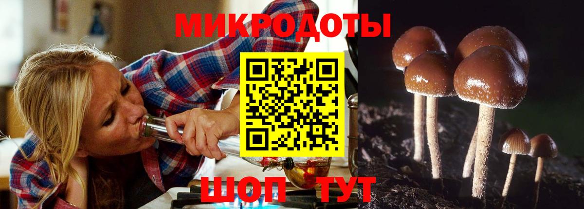 Новороссийск  Псилоцибиновые грибы Psilocybe  Галлюциногенные грибы Cubensis  Вход с VPN 
