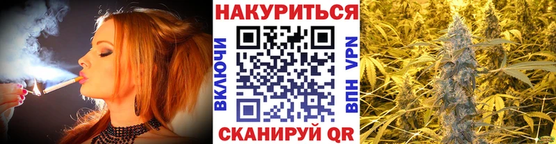 Шишки марихуана сатива  Новороссийск 