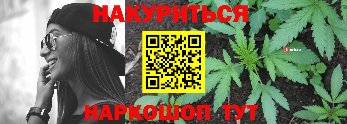 Шишки марихуана марихуана Новороссийск